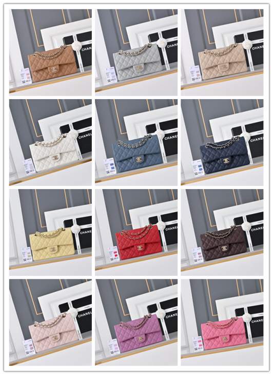 Picture of Chanel Handbags _SKUfw240126183fw